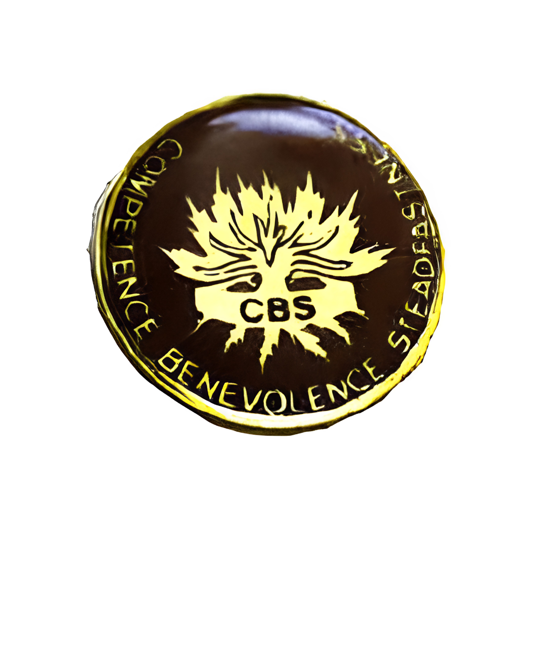 A circular badge featuring a central stylized emblem over the acronym "CBS," surrounded along the outer border by the words "COMPETENCE," "BENEVOLENCE," and "STEADFASTNESS."